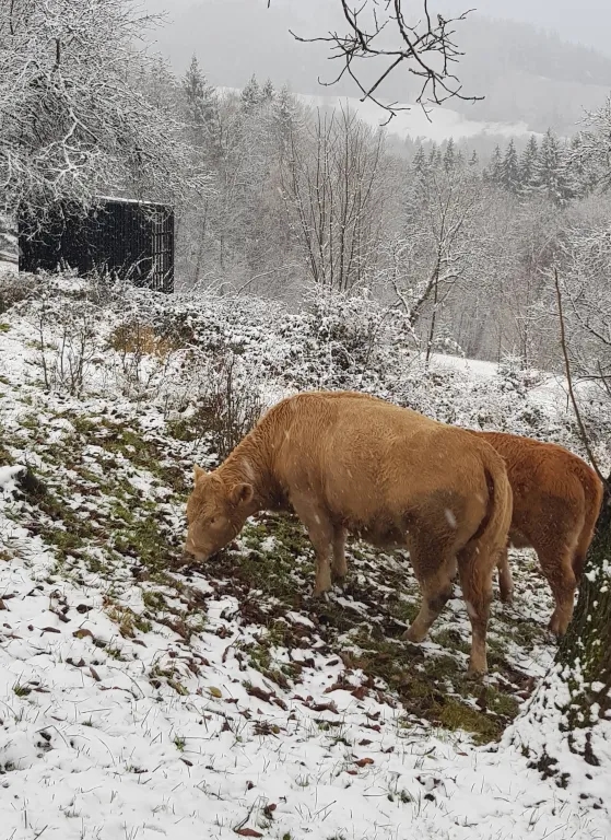 01 - 20211127_155008.webp